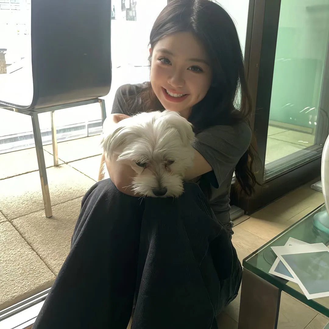 猫头鹰之森